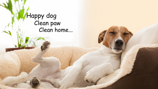 Why Every European Pet Owner Needs This Automatic Paw Cleaner