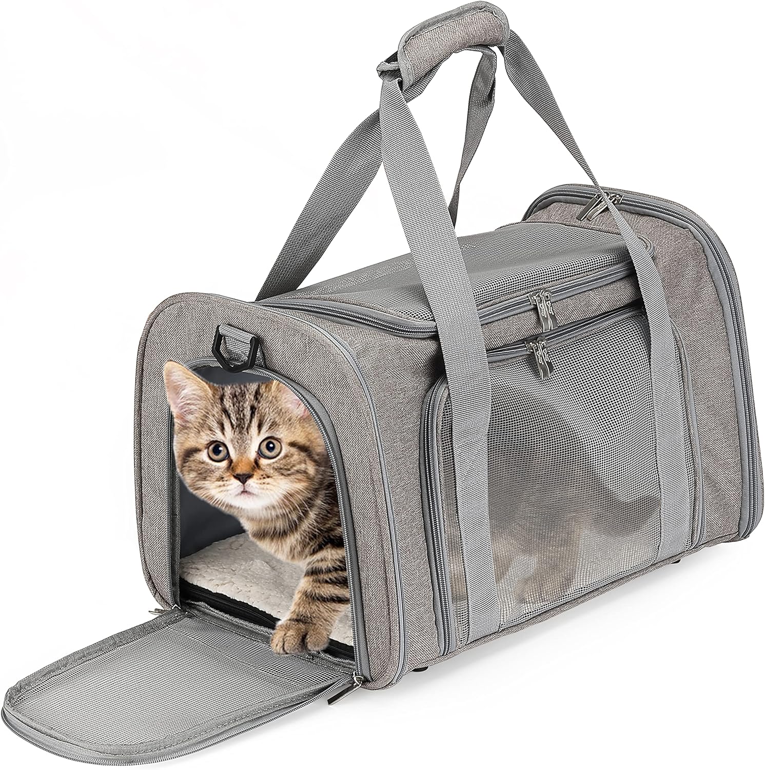 Pet Carriers