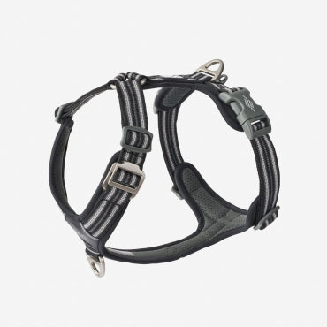 Colliers, Harnais & Laisses