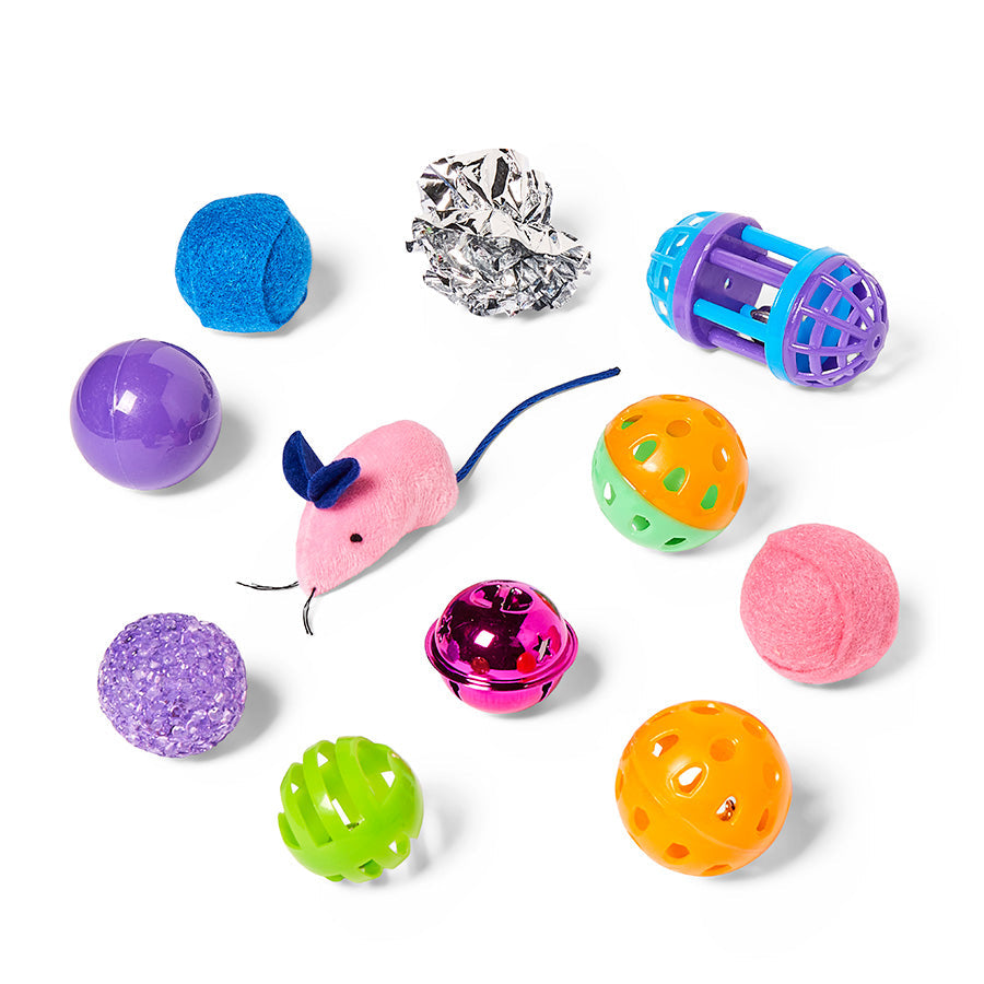 Fun Pet Toys