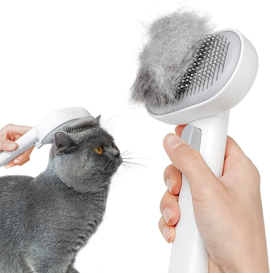3-in-1 Steam Pet Brush