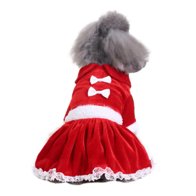 Funny Christmas Clothes for Dogs