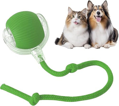 360 Smart Automatic Rolling Pet Ball