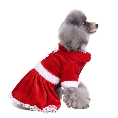 Funny Christmas Clothes for Dogs