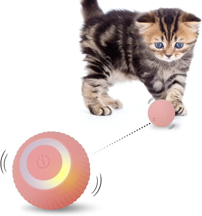 Automatic Rolling Ball for Intelligent Cat Play