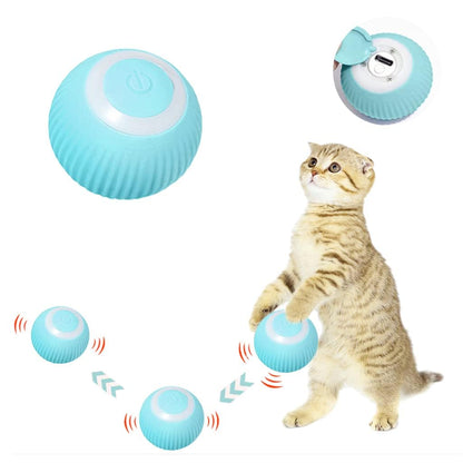 Automatic Rolling Ball for Intelligent Cat Play