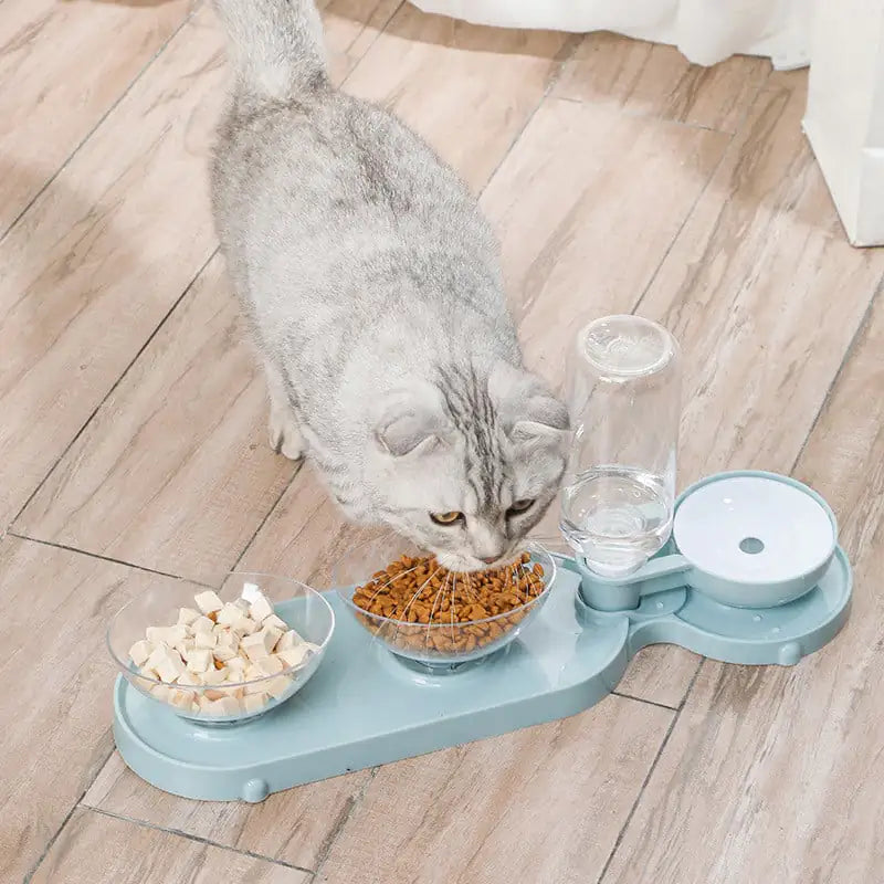 Automatic Double Bowl Feeder and Waterer for Pets