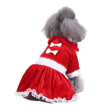 Funny Christmas Clothes for Dogs