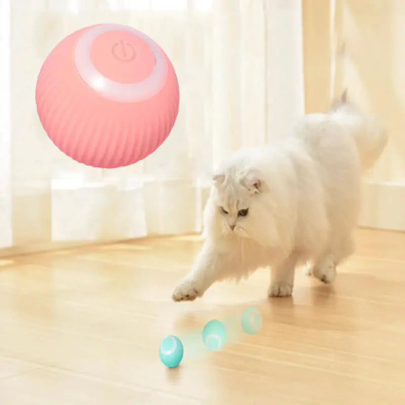 Automatic Rolling Ball for Intelligent Cat Play
