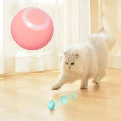 Automatic Rolling Ball for Intelligent Cat Play