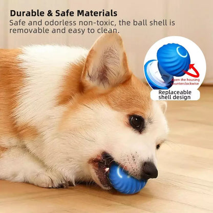 Pet Dog Rubber Ball Toys For Dogs